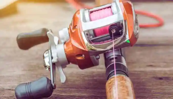The Ultimate Guide To Fishing Rods: Casting Vs Spinning Rods Showdown -  Fishing2Gear